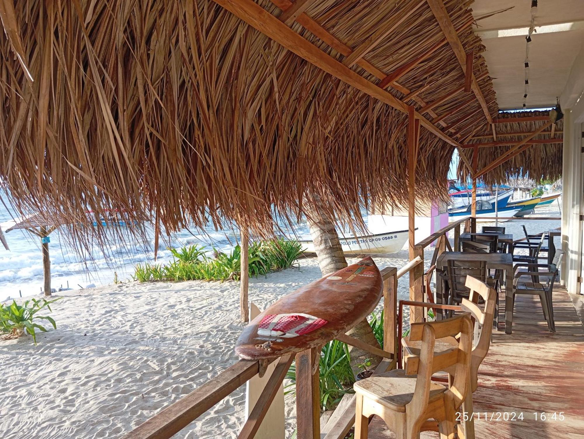 Hotel Casa Sattva- Bed & Breakfast Rincón Dış mekan fotoğraf